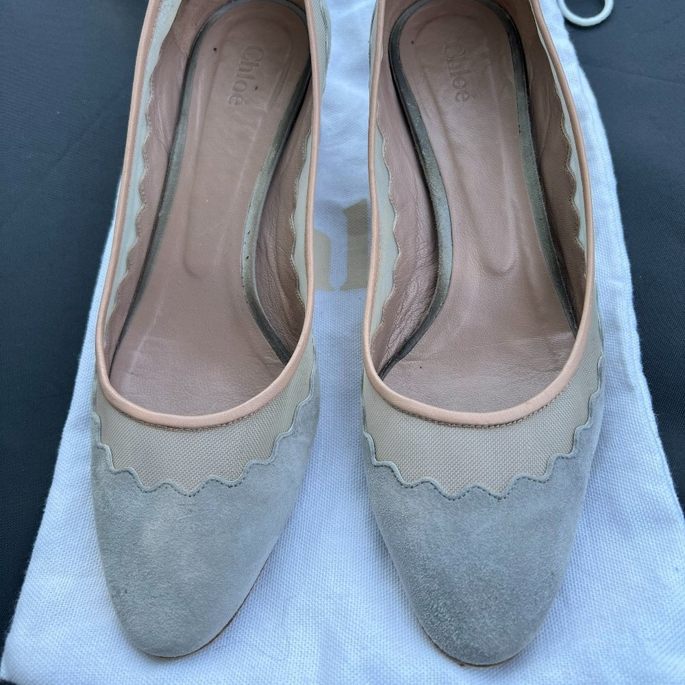 Chloe Scallop Gray Suede Pump